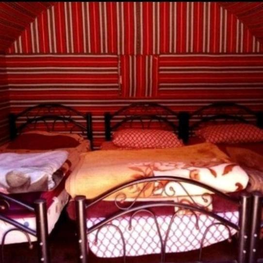 Bedouin Family Camp Hotel Wadi Rum Eksteriør billede