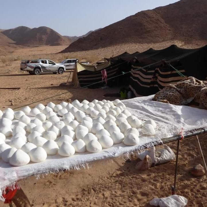 Bedouin Family Camp Hotel Wadi Rum Eksteriør billede