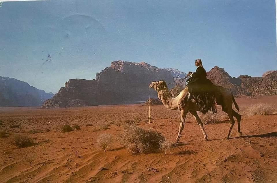 Bedouin Family Camp Hotel Wadi Rum Eksteriør billede