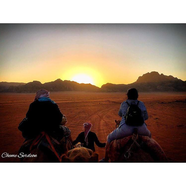 Bedouin Family Camp Hotel Wadi Rum Eksteriør billede